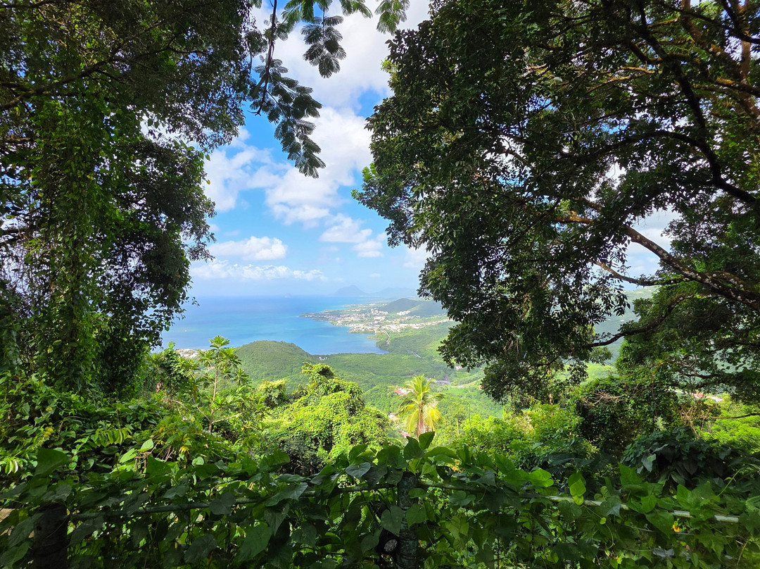 An Mao Jardin Paysager & Historique-Le Marin必去景点