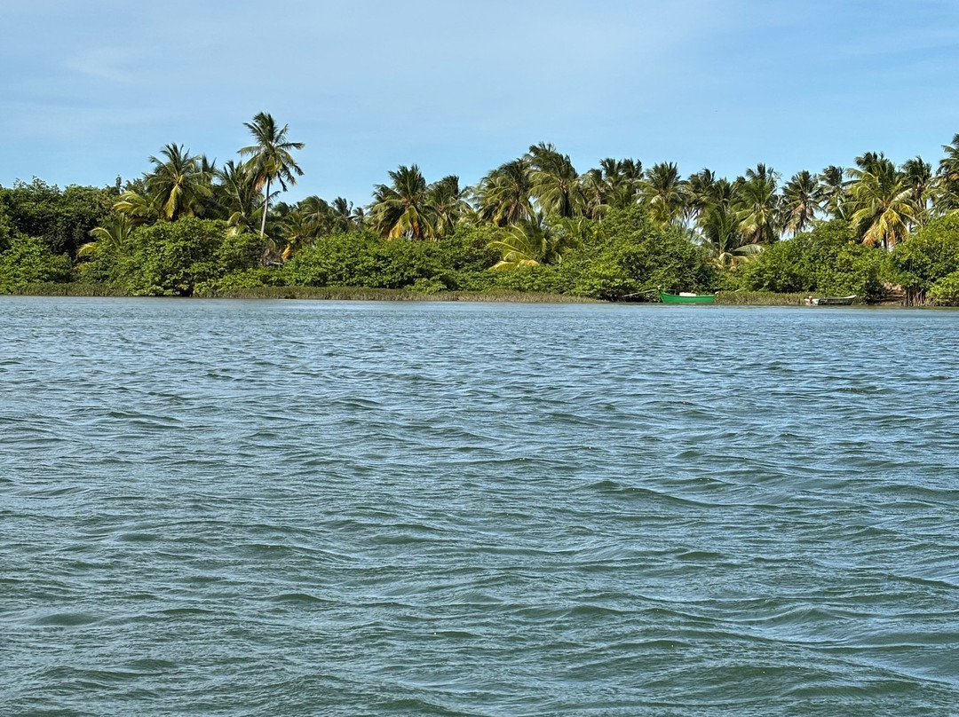 Farol da Foz Ecoturismo-Piacabucu必去景点