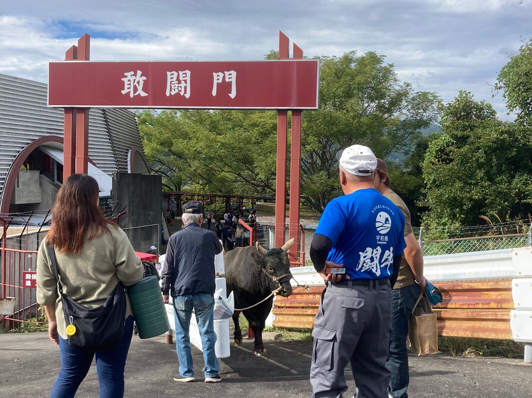 Uwajima City Bullfighting Arena-宇和岛市必去景点