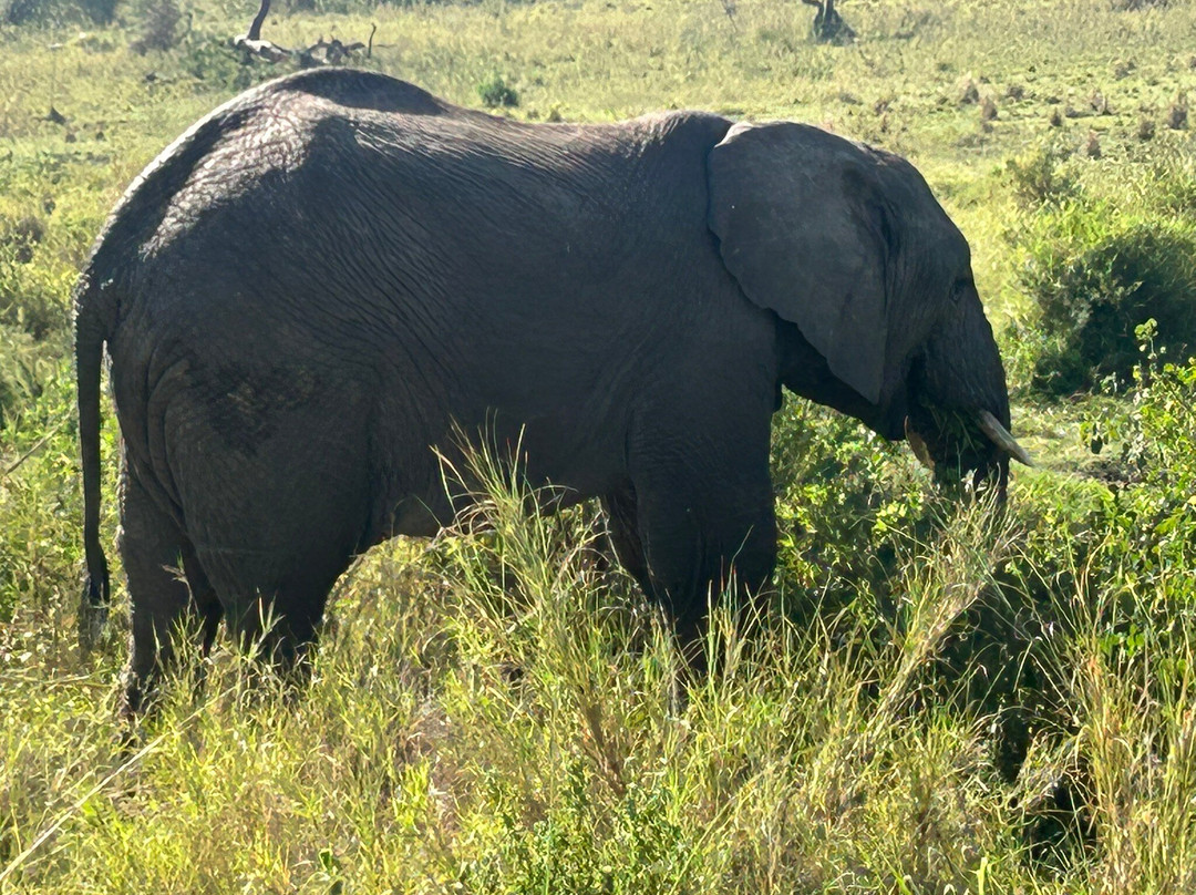 Peak Planet-莫西必去景点