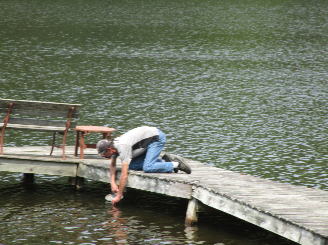 Edgewater Inn & Cottages主图