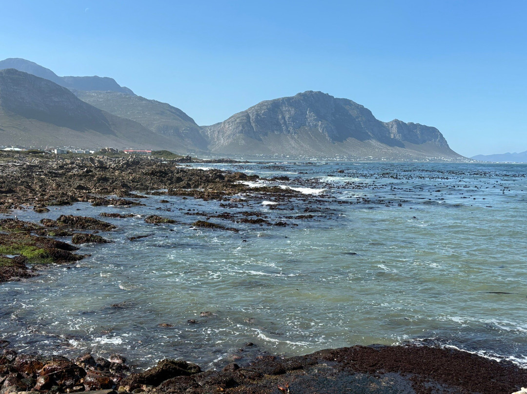 Kleinmond Beach-小月必去景点