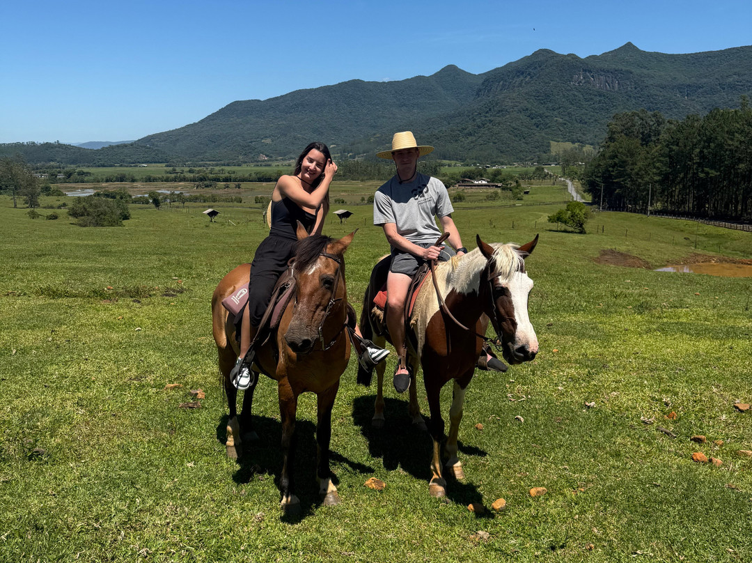 Pousada Di Venezia主图