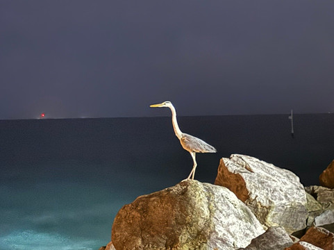 Relax Holidays Pvt Ltd-Akkaraipattu必去景点