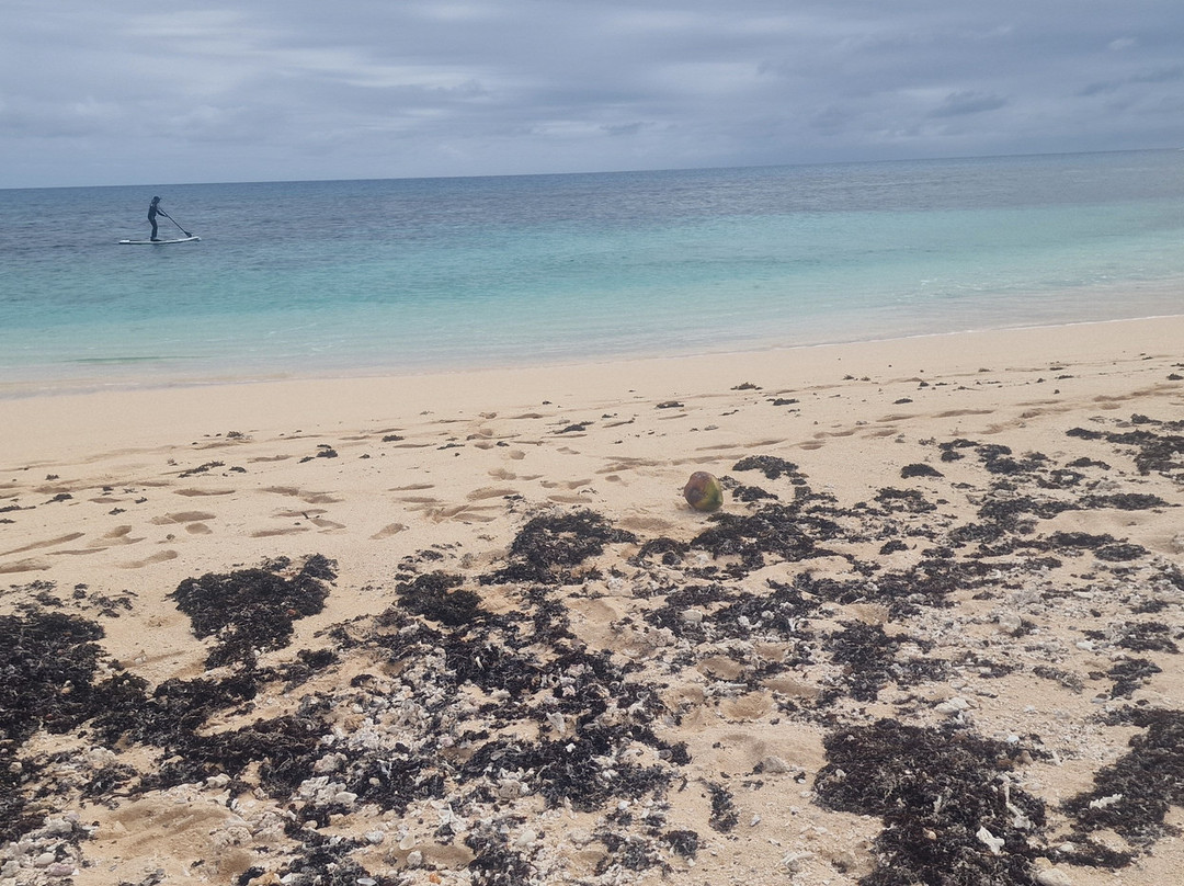 Deep Blue Diving-努库阿洛法必去景点