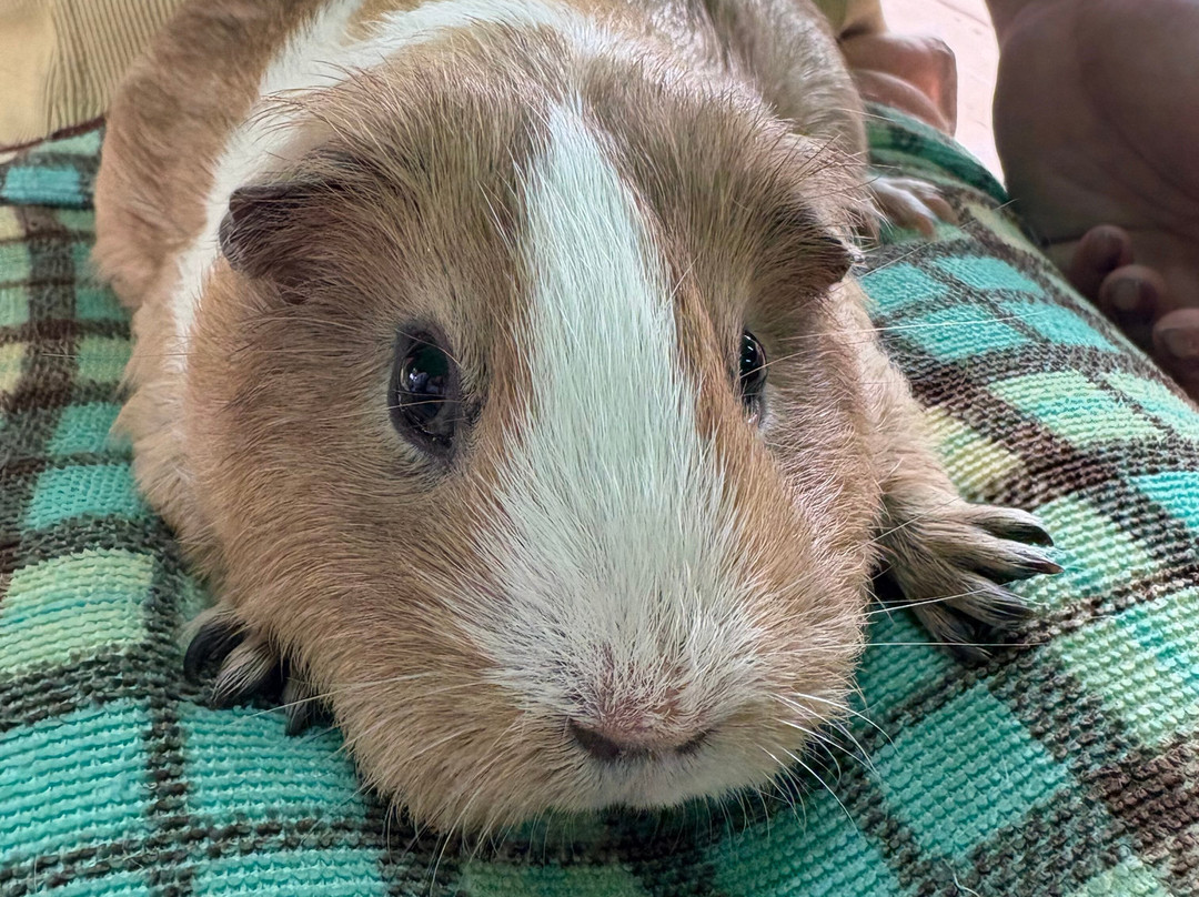 名护Neo自然动植物公园-名护市必去景点