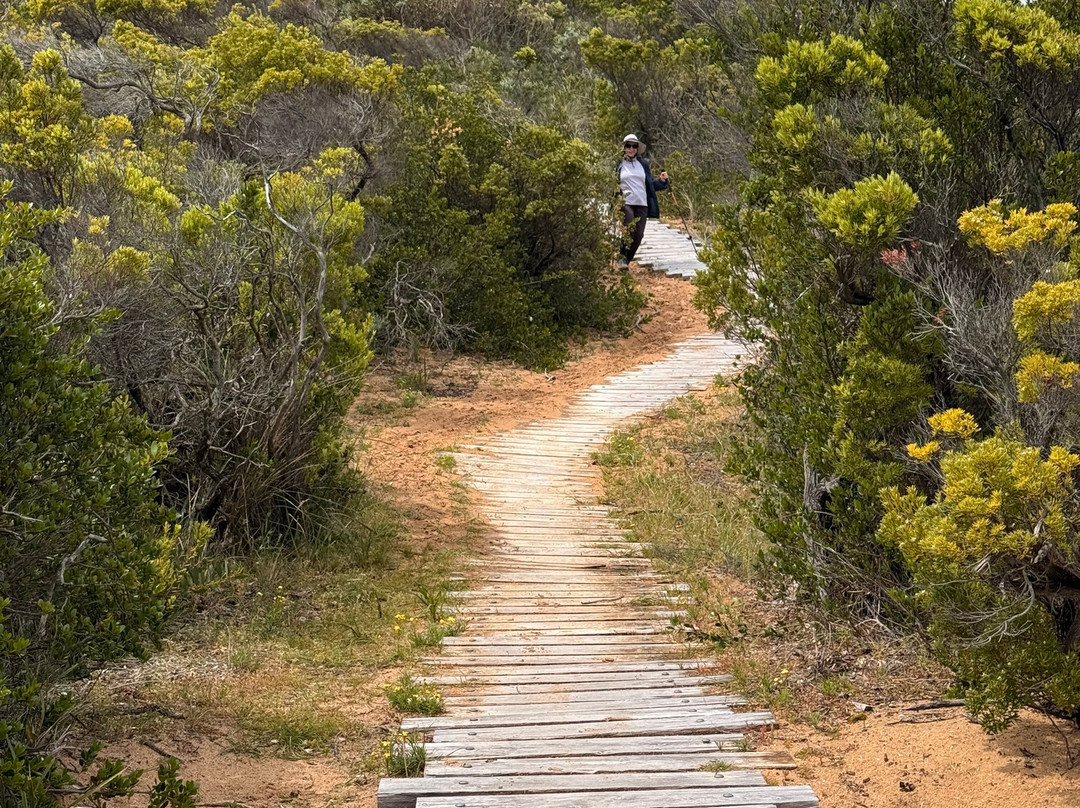 Walk91-阿波罗湾必去景点