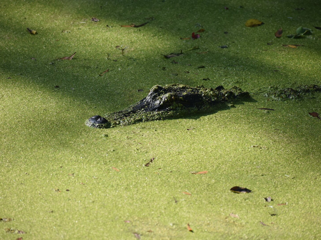 Circle B Bar Reserve-莱克兰必去景点
