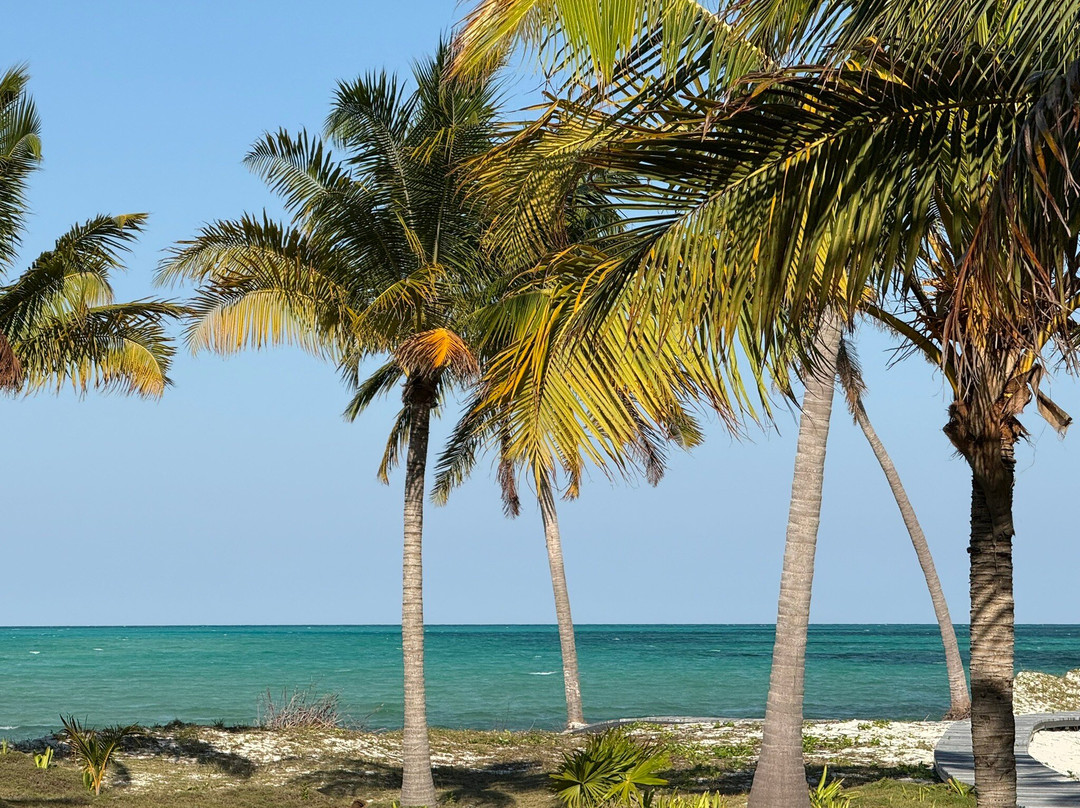 Cayo Levisa-Pinar del Rio Province必去景点