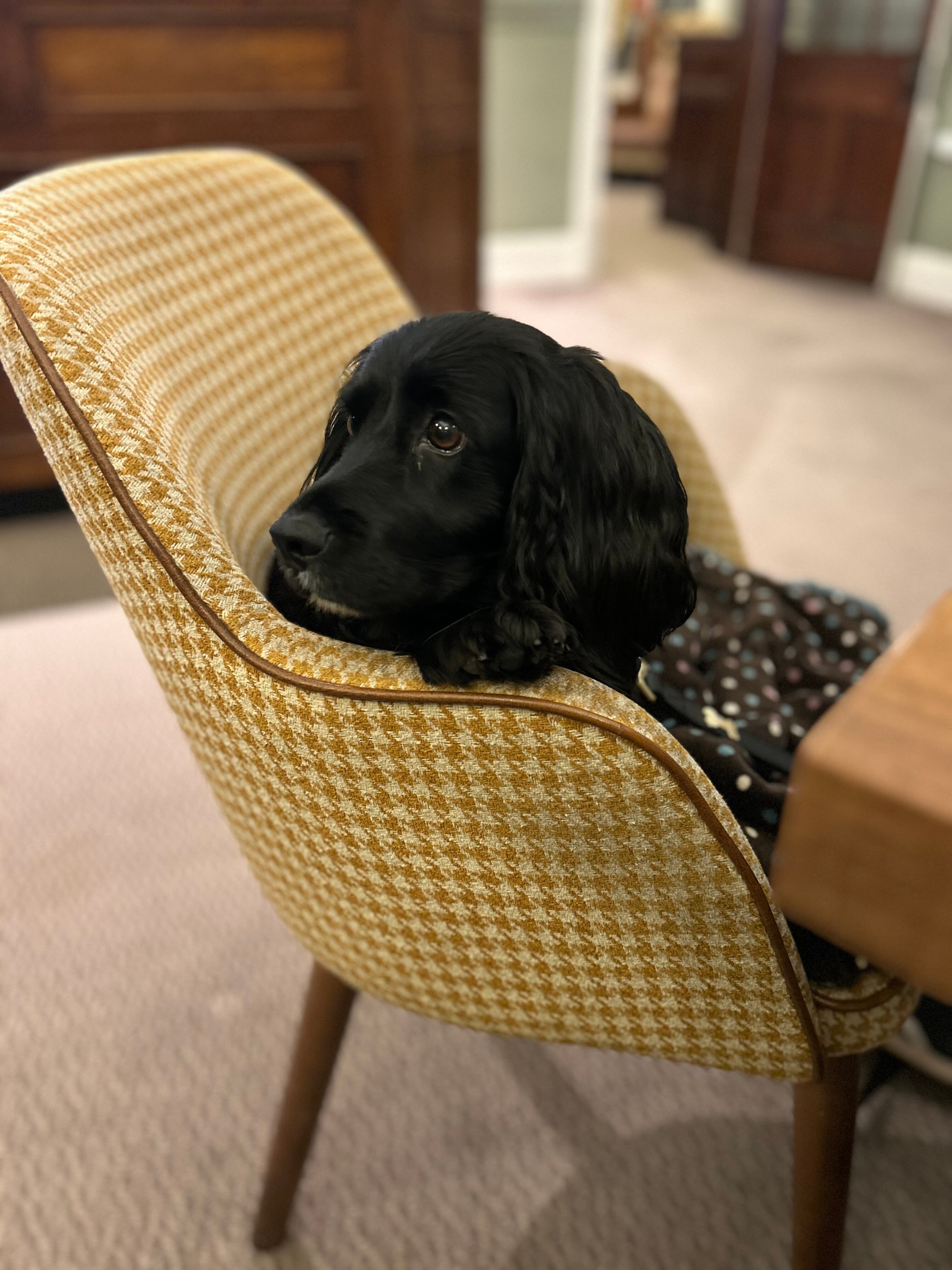 The Speech House Hotel-浴室