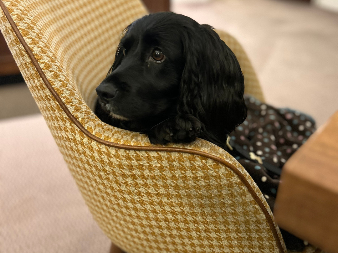 The Speech House Hotel主图