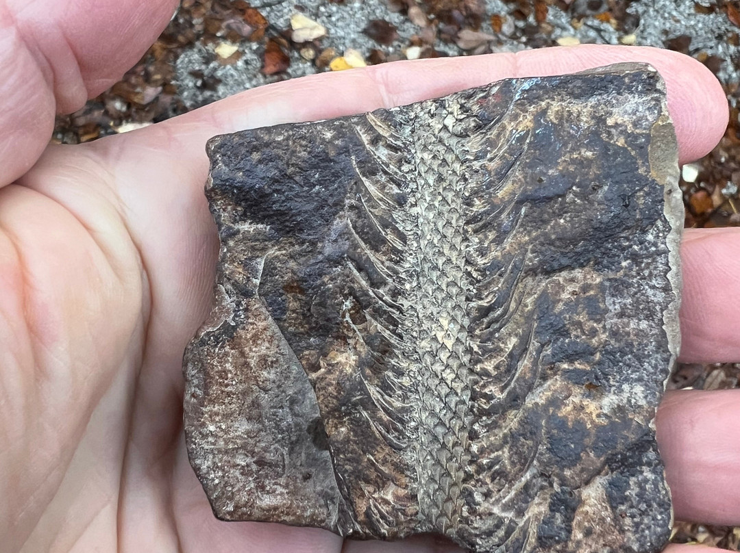 Stori Brymbo-雷克瑟姆必去景点