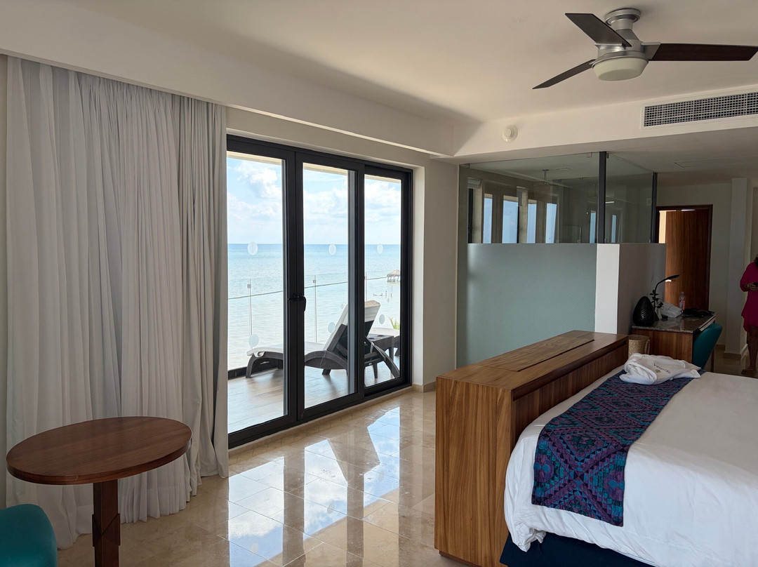 Sensira Resort & Spa Riviera Maya主图