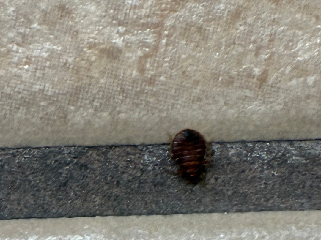 伊丽莎白城希尔顿恒庭酒店主图