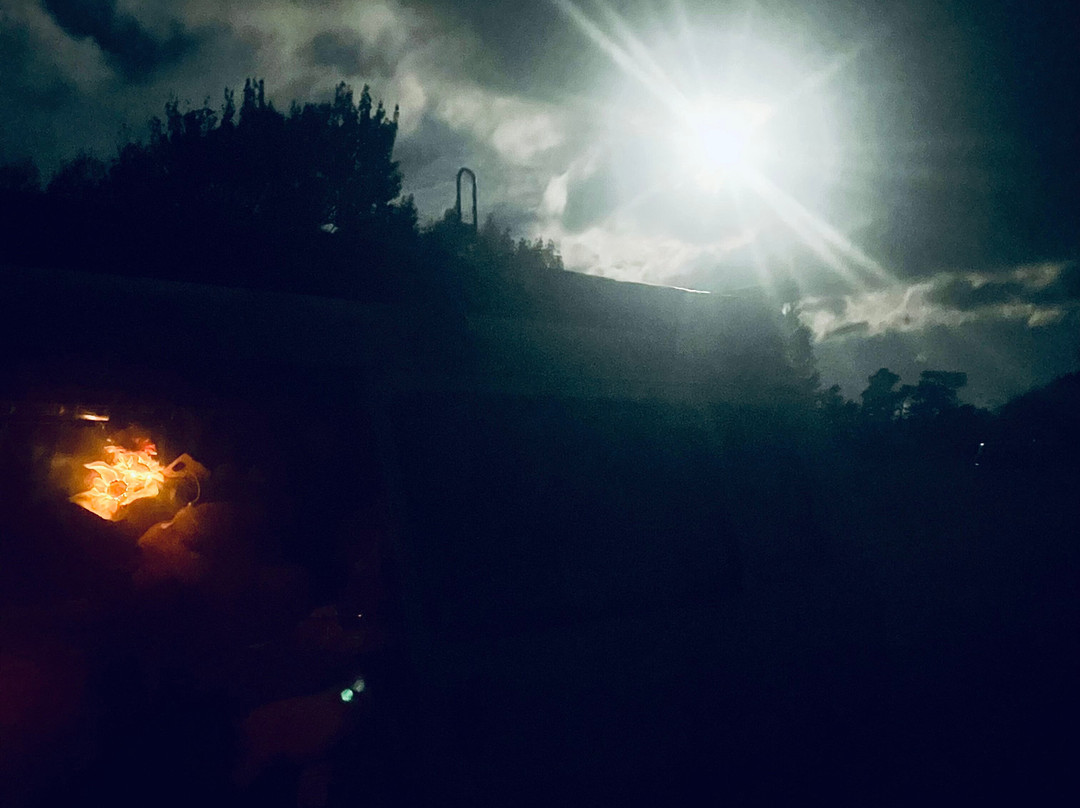 Lake Wairarapa-Featherston必去景点