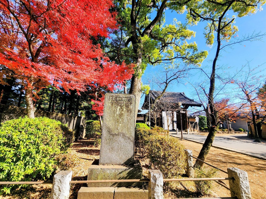 川越一番街商店街-川越市必去景点