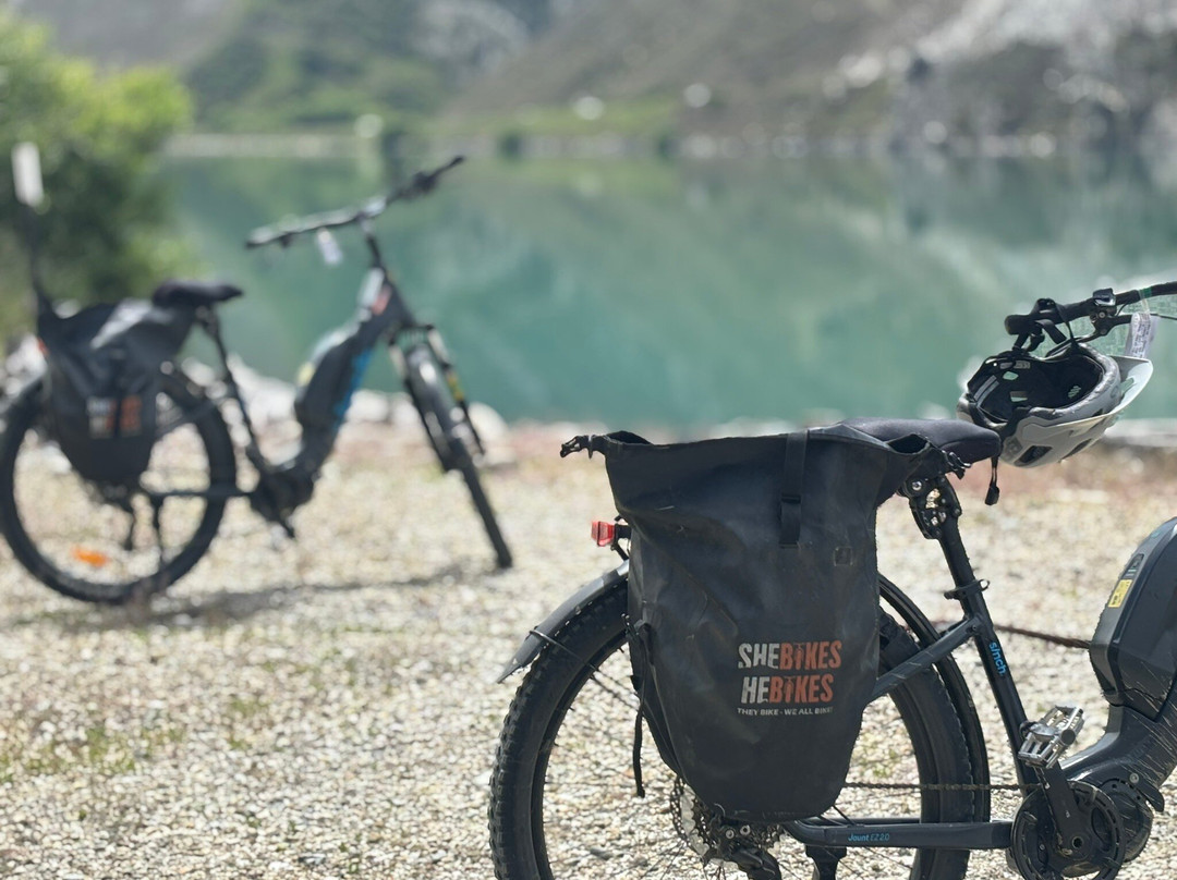 Shebikeshebikes Clyde-克莱德必去景点