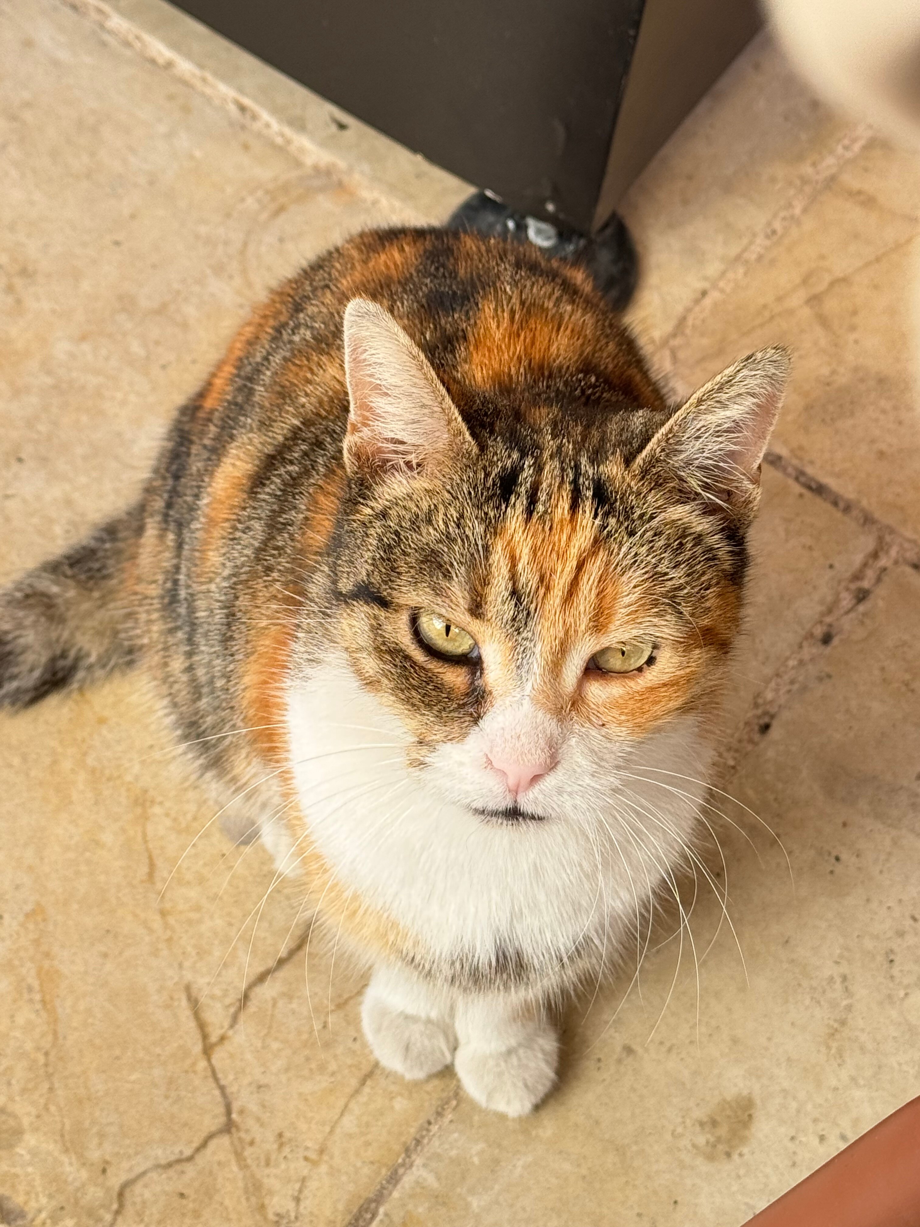 Palazzo Artemide-官方