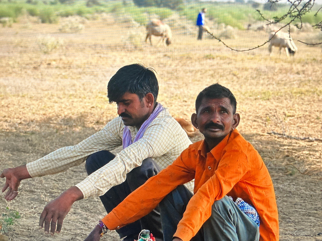 Jorbeer Conservation Reserve-碧卡内必去景点