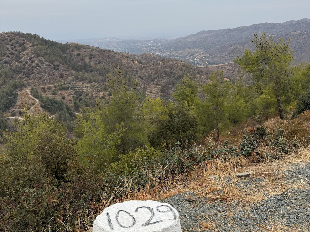 Marina's Adventure Park-卡科佩特里亚必去景点