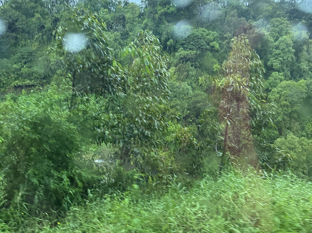 Hawaii Tours-火奴鲁鲁必去景点