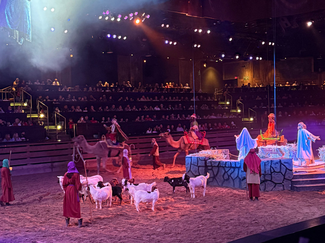 Dolly Parton's Stampede Dinner Attraction-布兰森必去景点