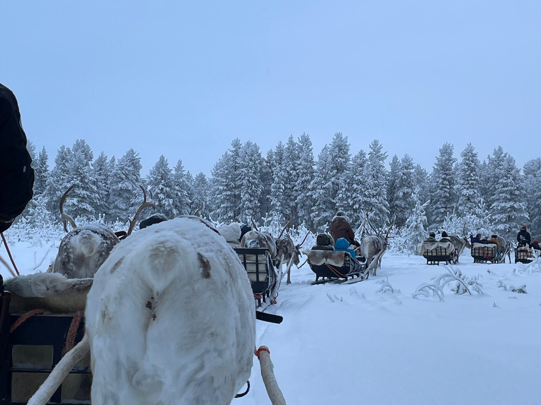 Jaakkola Reindeer Farm-Luosto必去景点