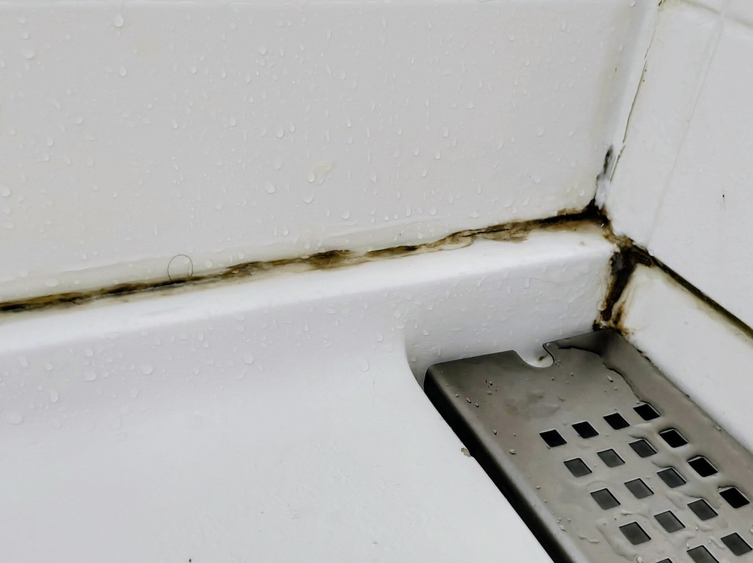 Best Western Plus Dalton Inn主图