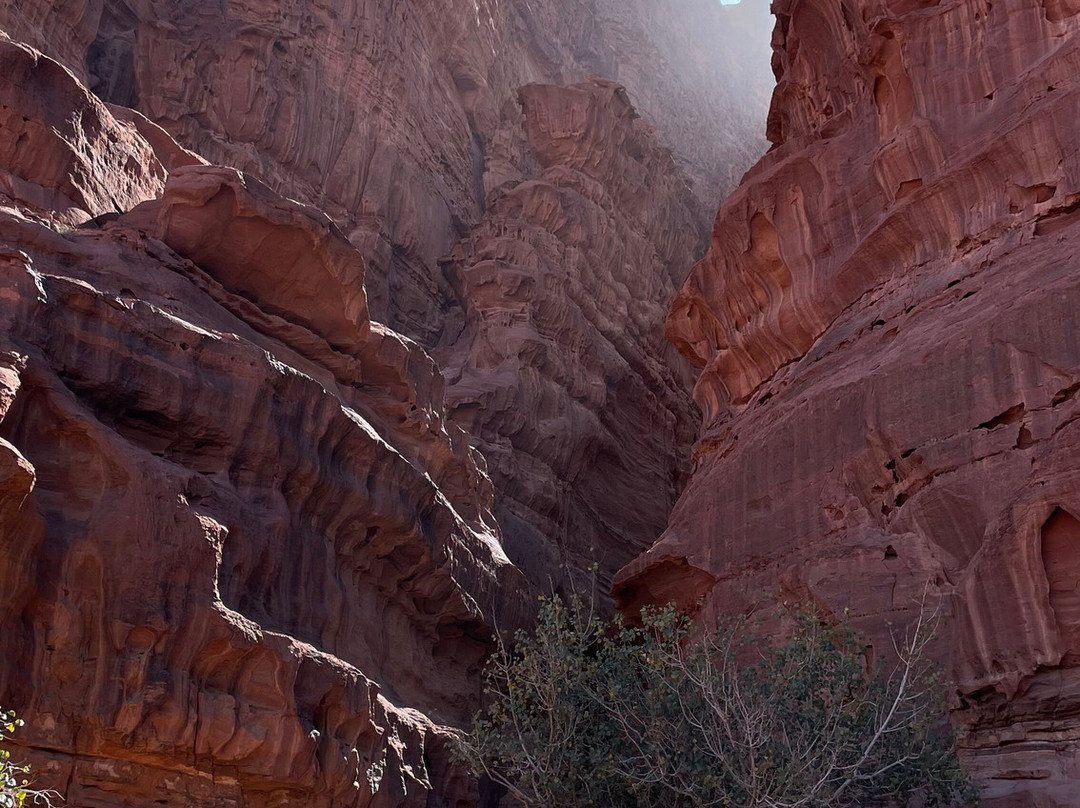 Wadi Rum Desert Adventures - Day Tours-Wadi Rum Village必去景点