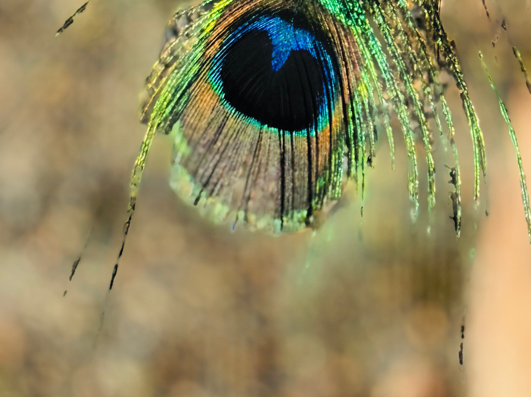 Le Paradis du Safran-Ourika必去景点