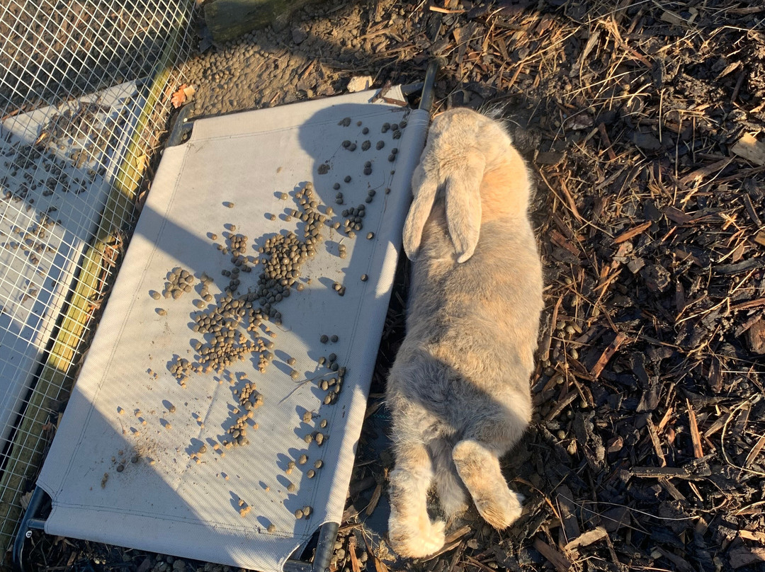 Thrift Farm-Whaddon必去景点