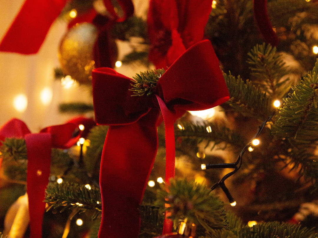 Hostellerie Du Chapeau Rouge主图