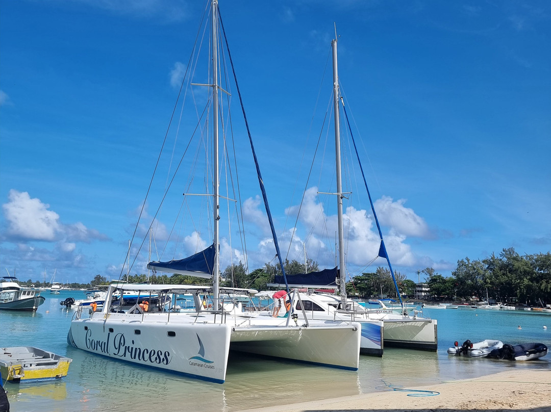 Coral Belle Catamaran Cruises-大湾必去景点