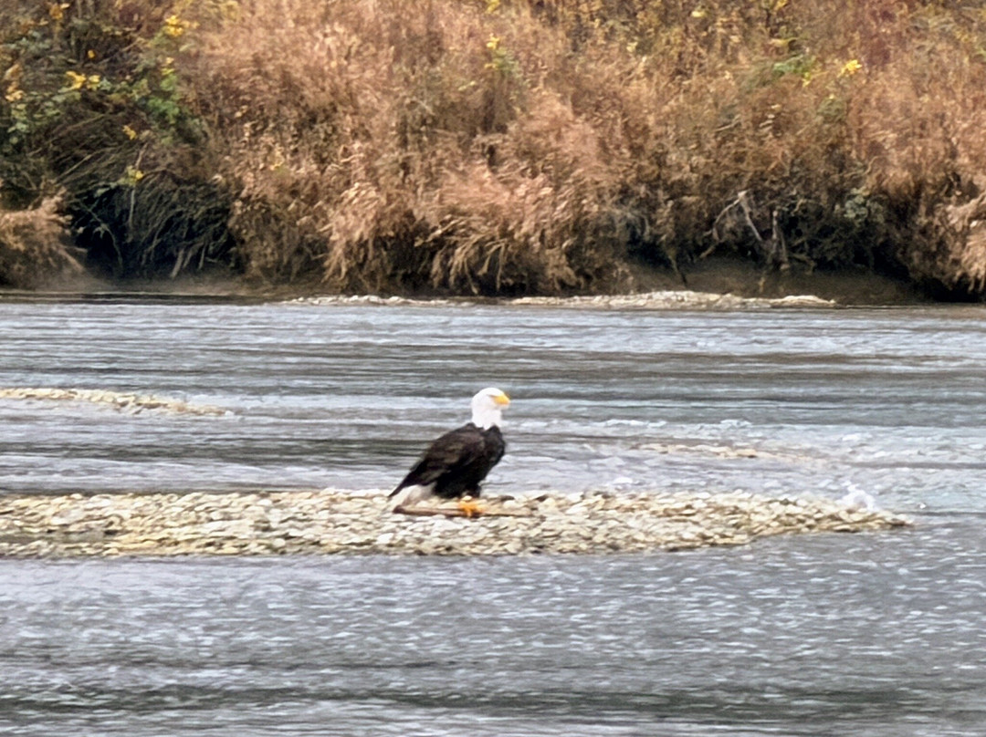 Harrison Eco Tours-哈里逊温泉必去景点