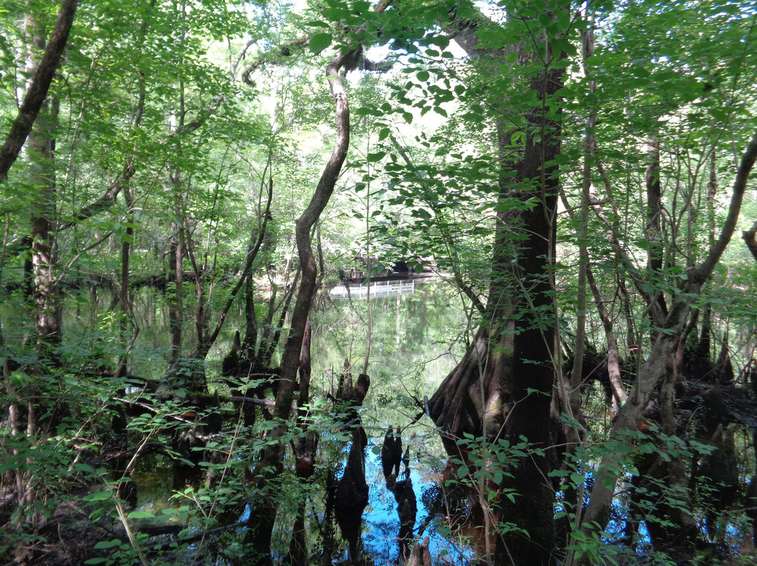 Moore's Creek National Battlefield-Currie必去景点