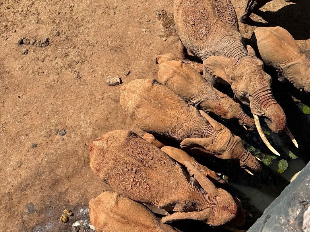 Polki W Podróży-比亚韦斯托克必去景点