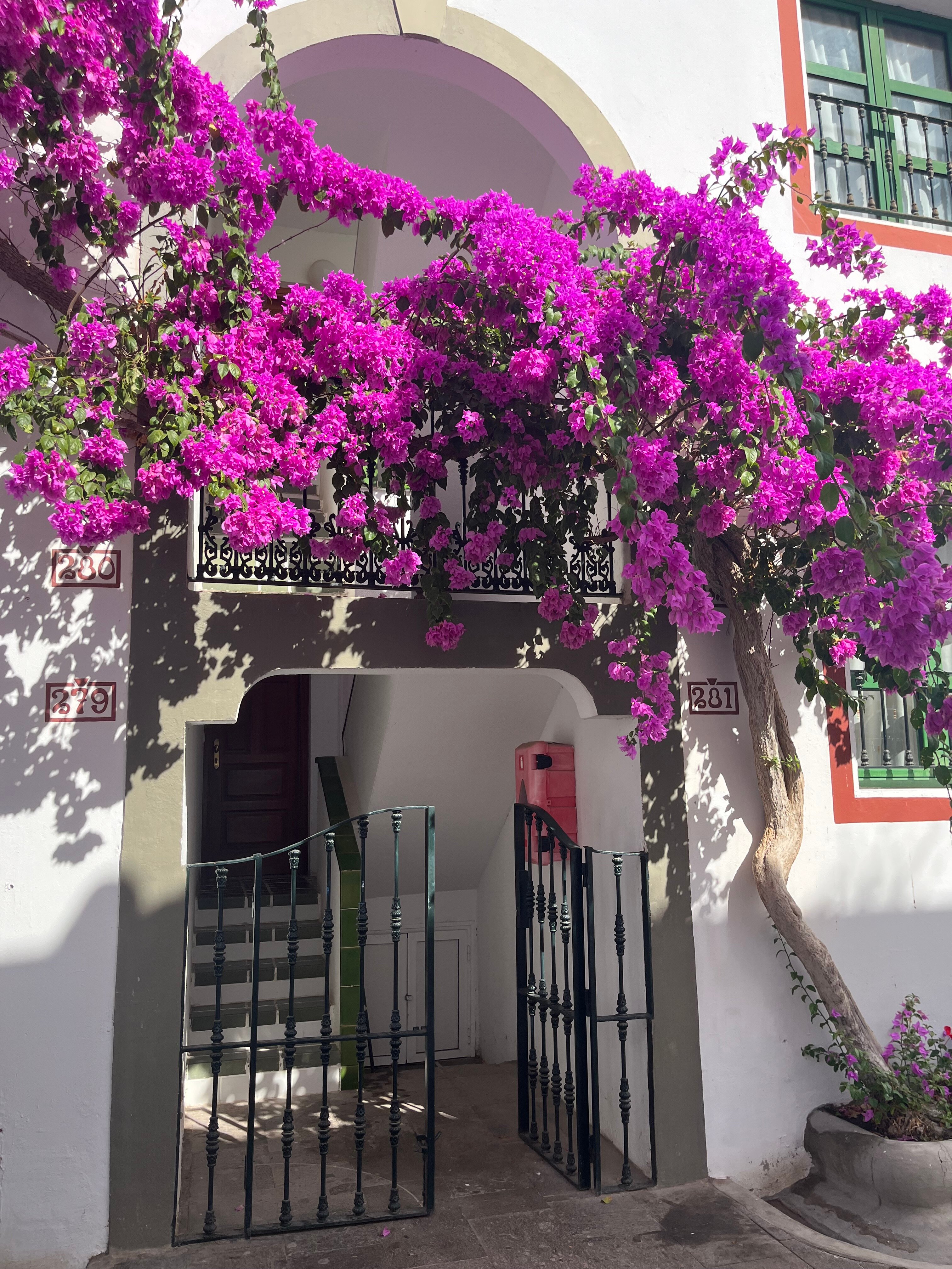 H10梅洛尼拉斯海滩皇宫酒店-官方