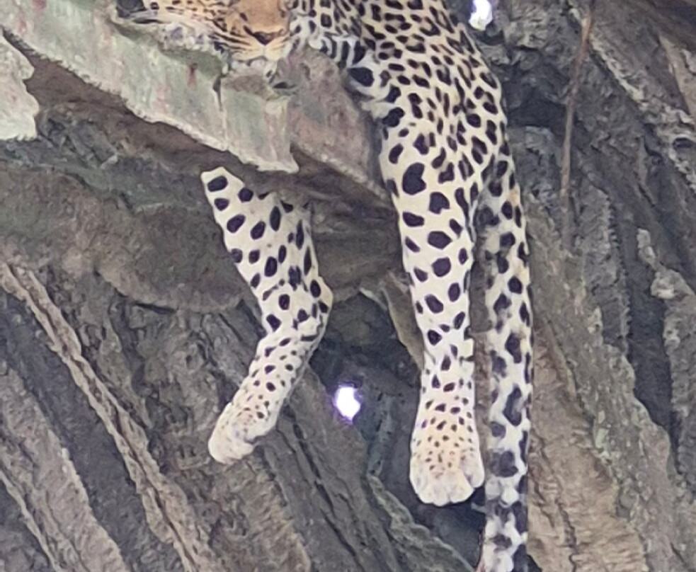 Home to Africa Tours and Travel-坎帕拉必去景点