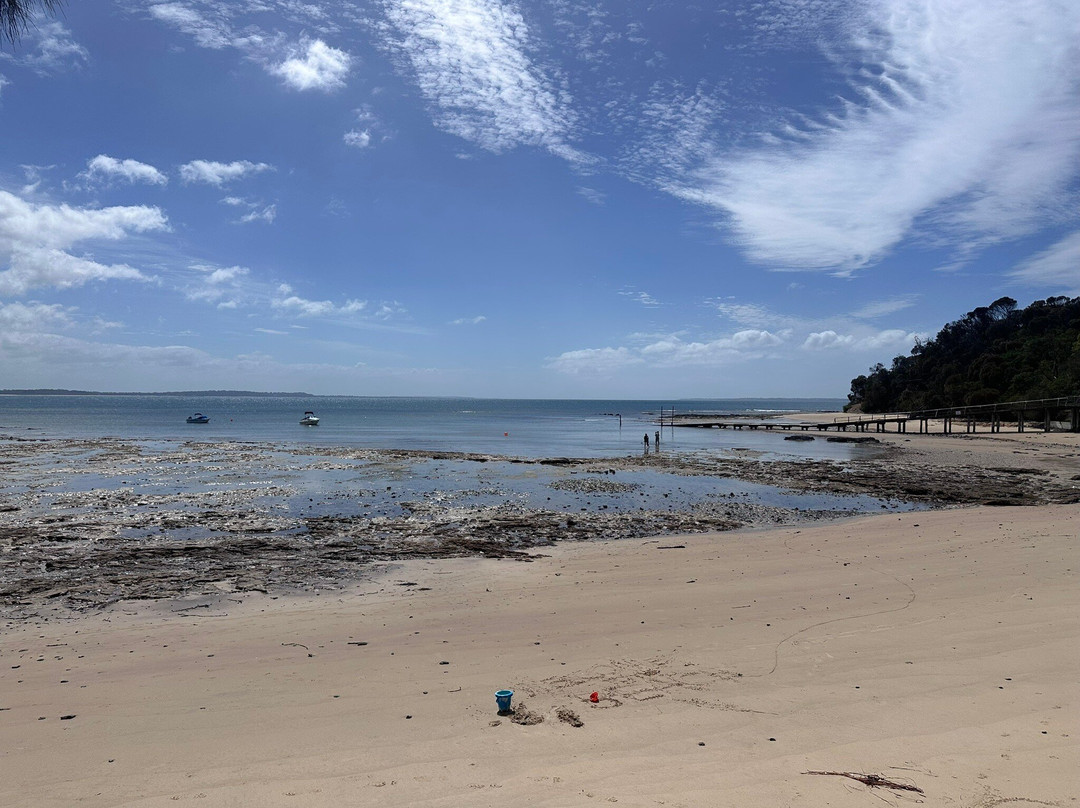 Mornington Peninsula Plunge Wine Tours-巴尔纳灵必去景点