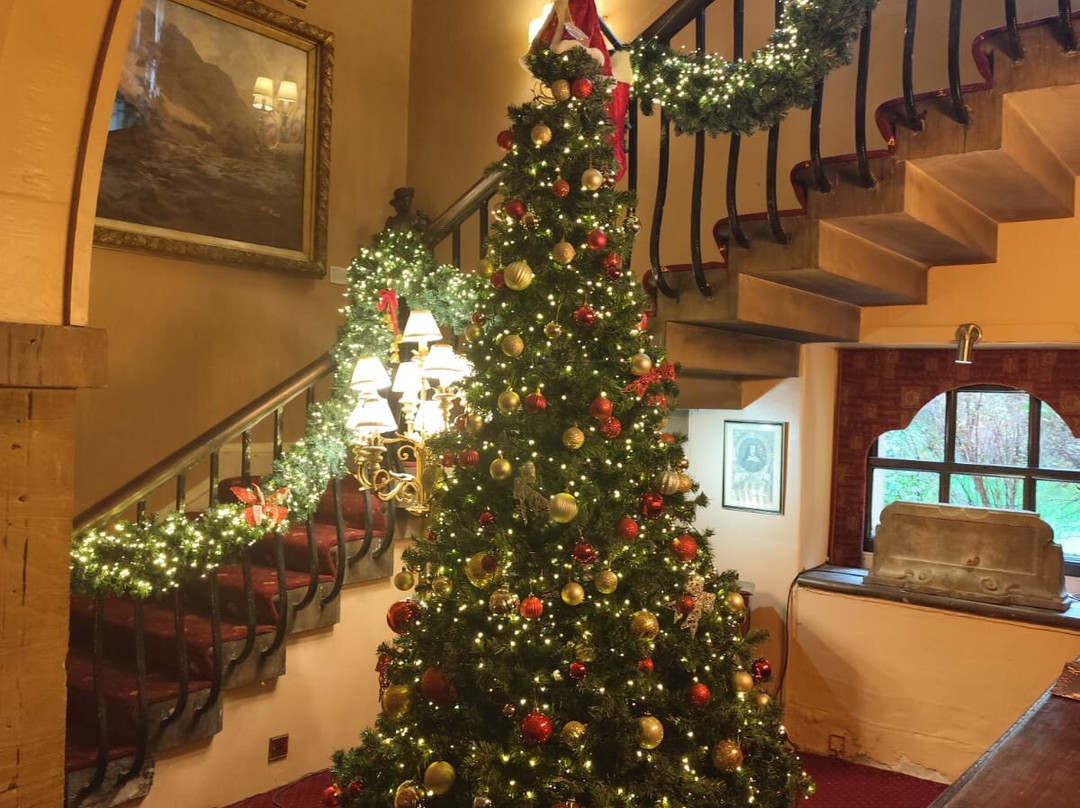 Lumley Castle guided history tour-Chester-le-Street必去景点