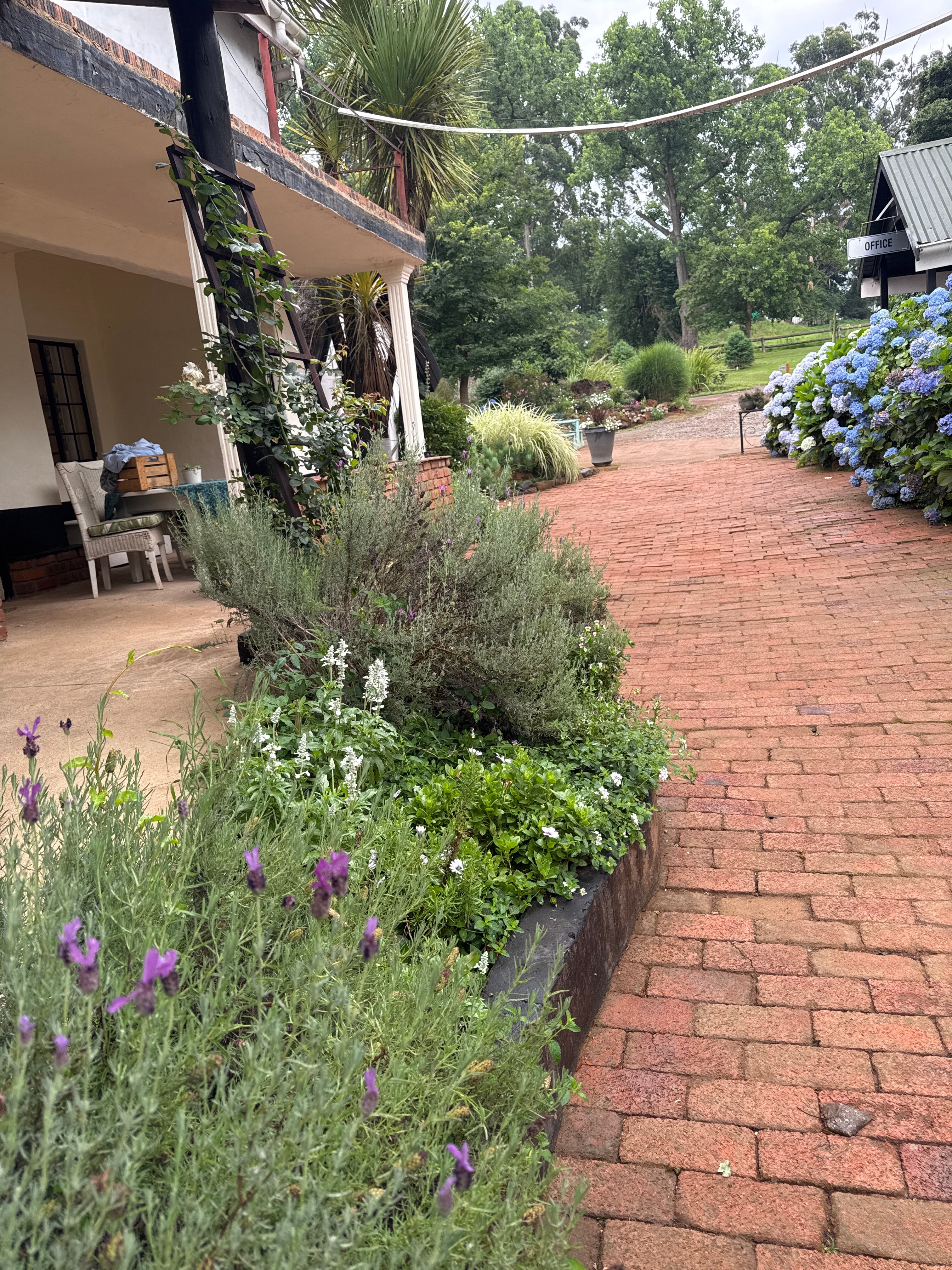 Hebron Haven Hotel-官方