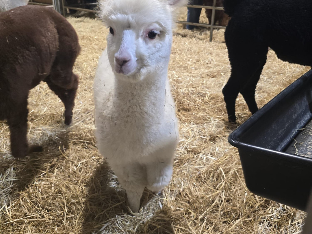 Farm Stop-Portlethen必去景点