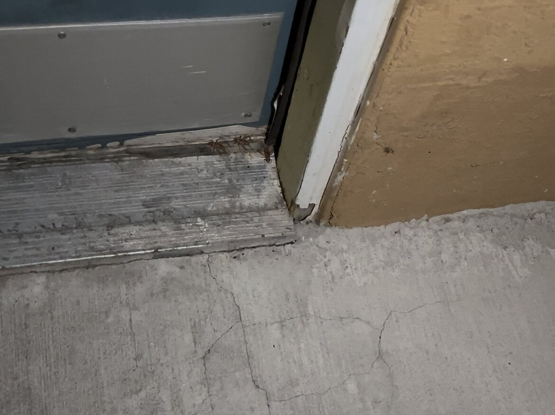 Rodeway Inn & Suites主图