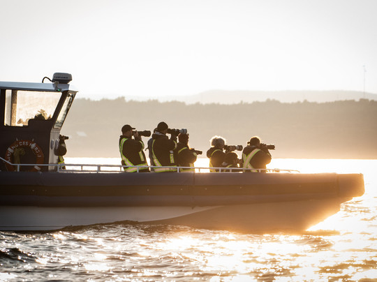 Souvenirs du large - Boutique souvenir et Galerie d'art-Les Bergeronnes必去景点