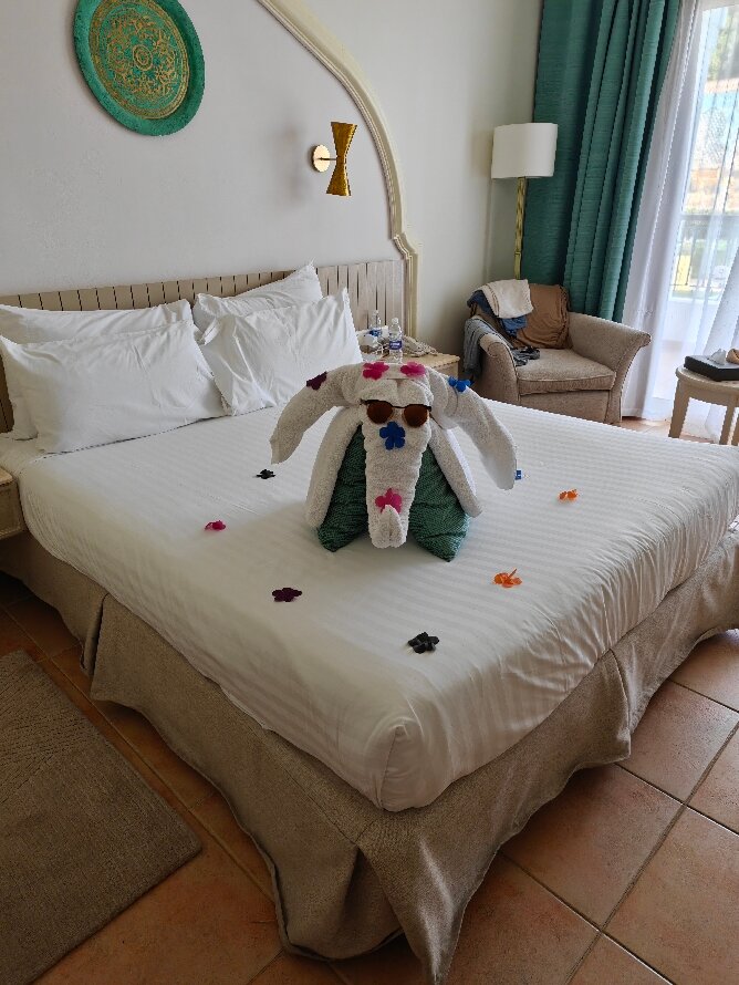 沙姆沙伊赫巴伦棕榈成人度假酒店-官方