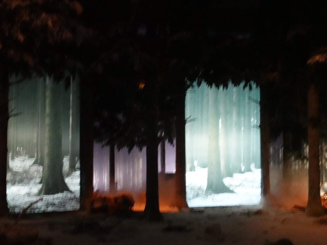 Bastogne War Museum-巴斯东必去景点