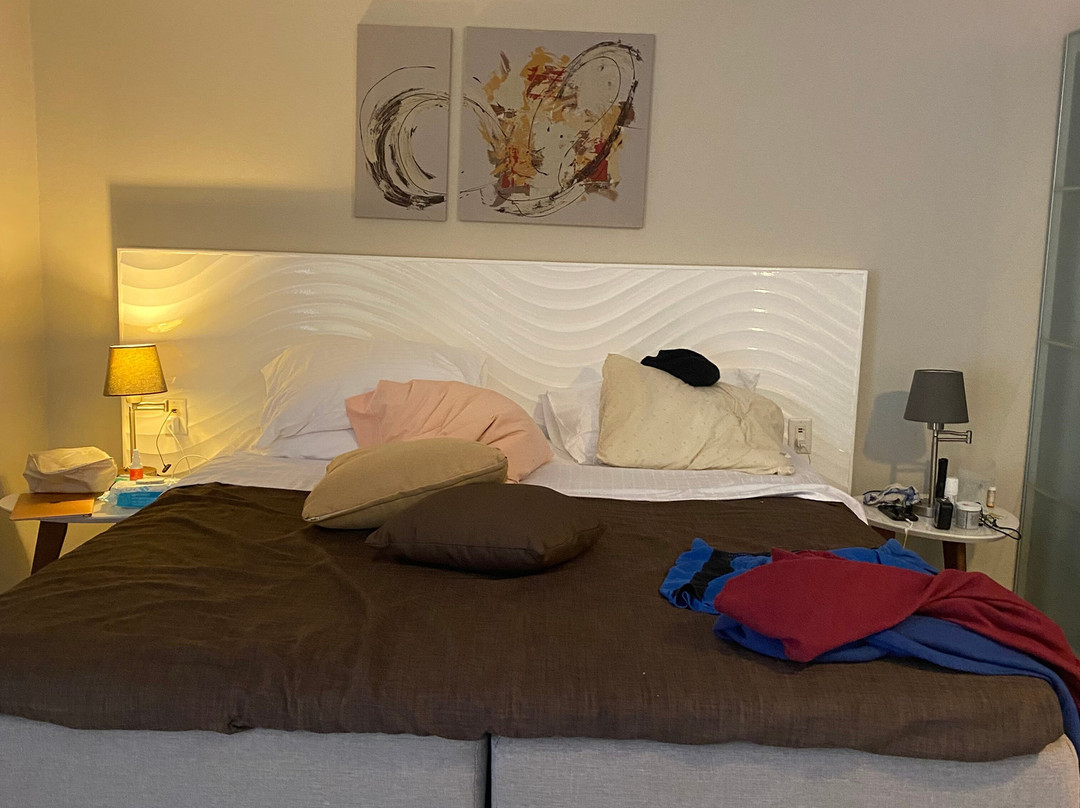 阿鲁巴巴拉特拉公园酒店主图