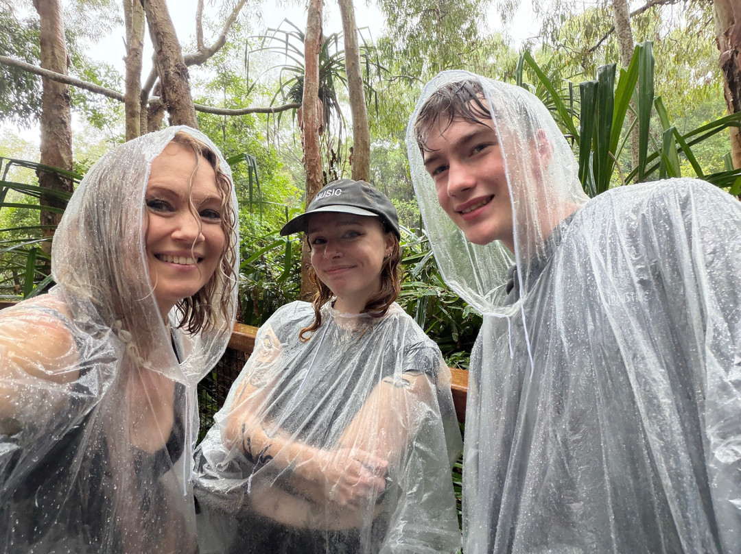 Hartley's Crocodile Adventures-Wangetti必去景点