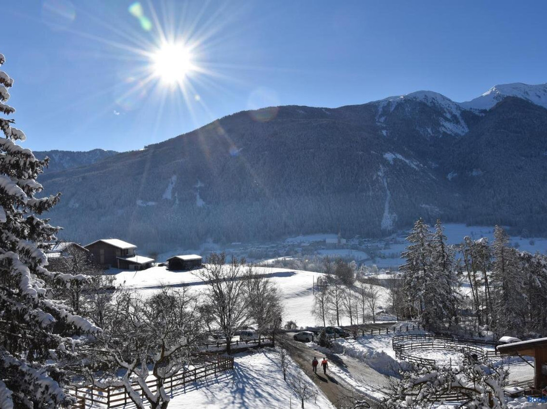 Chalet & Appartement Zingerlehof Trens