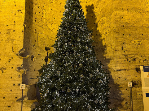 Deutsche Romerin-罗马必去景点